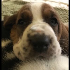 Meet your Posher, Mckenna